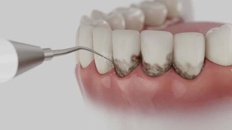 Reliable Dental contractor in Rexland Acres, CA by Dentist Open Now